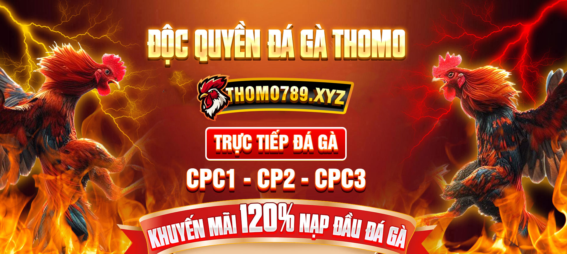 banner-thomo789-xyz